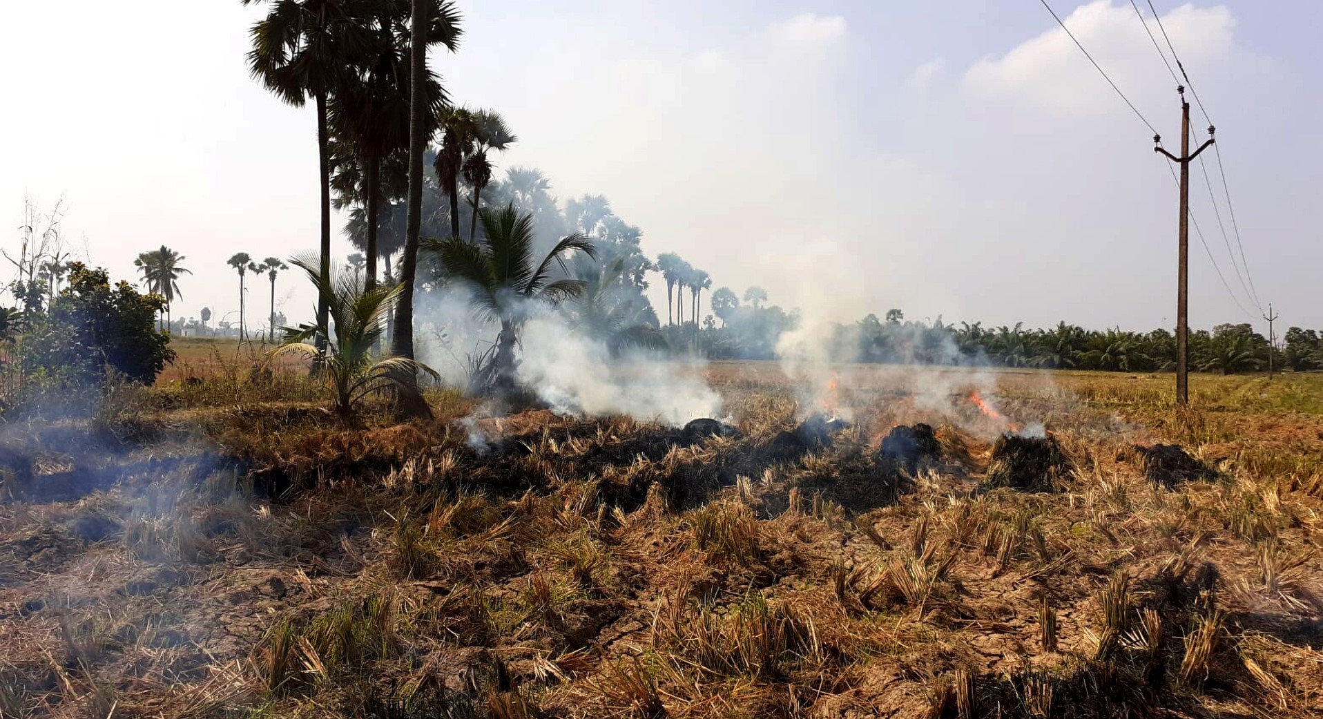 burning straw