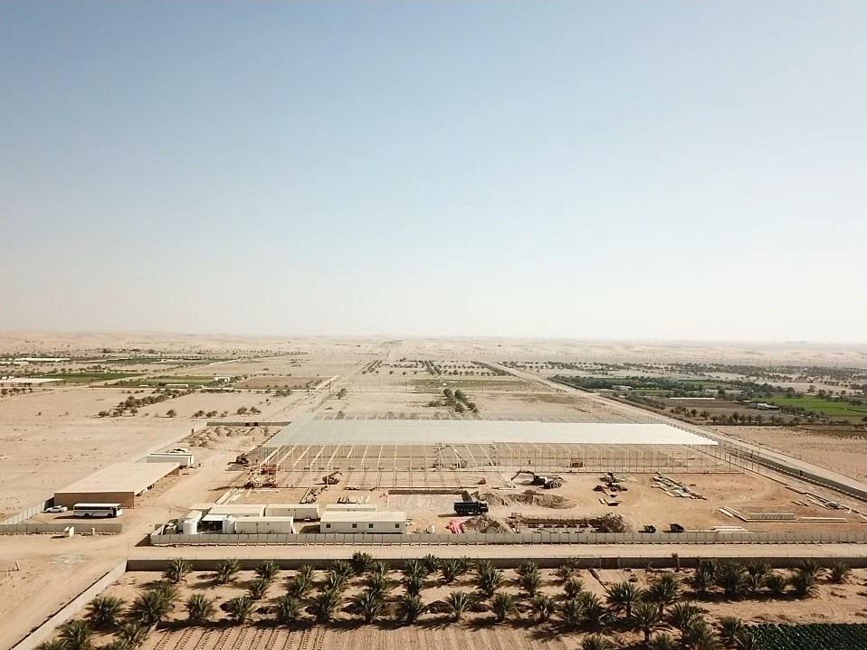Armela Farms