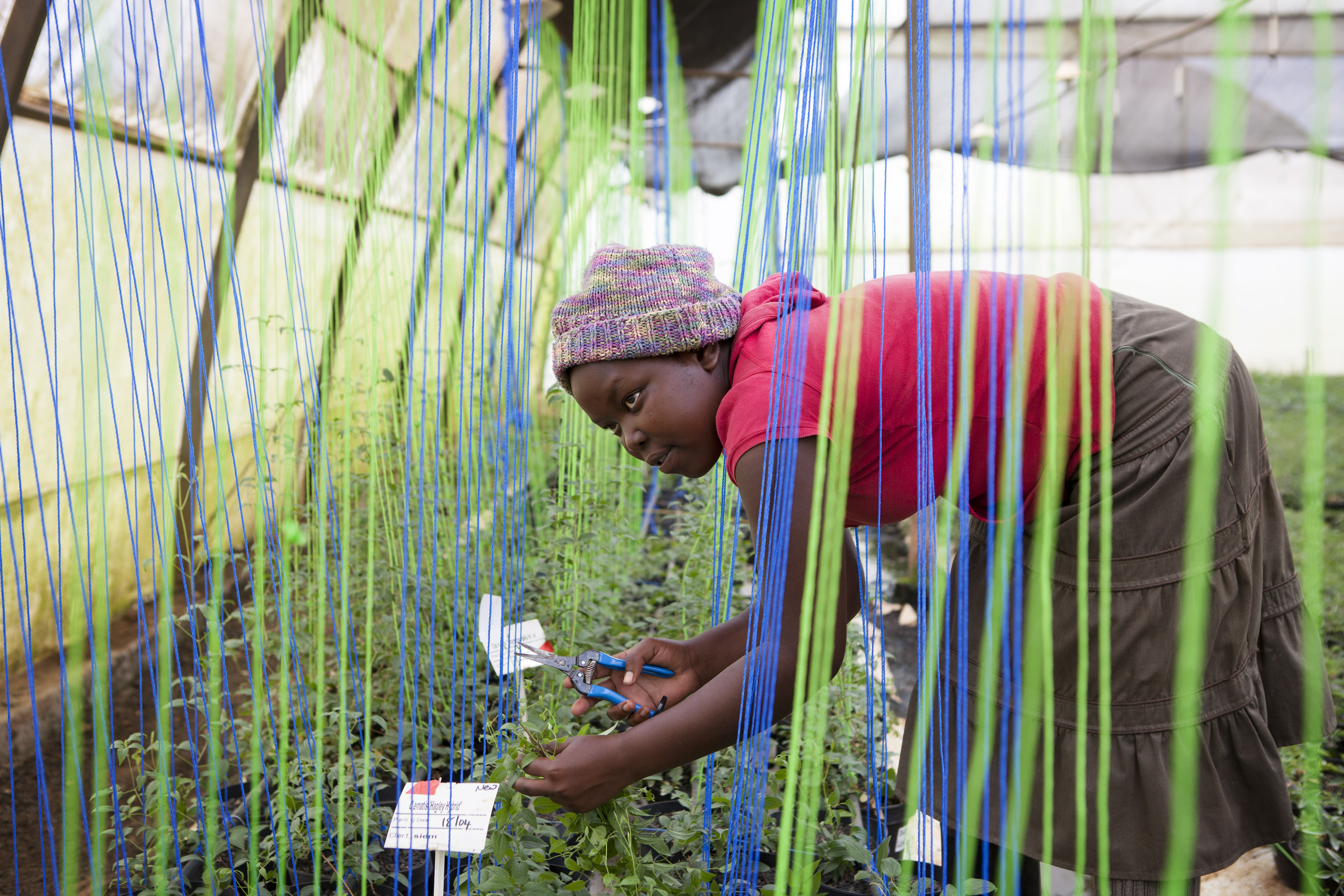 young agricultural worker