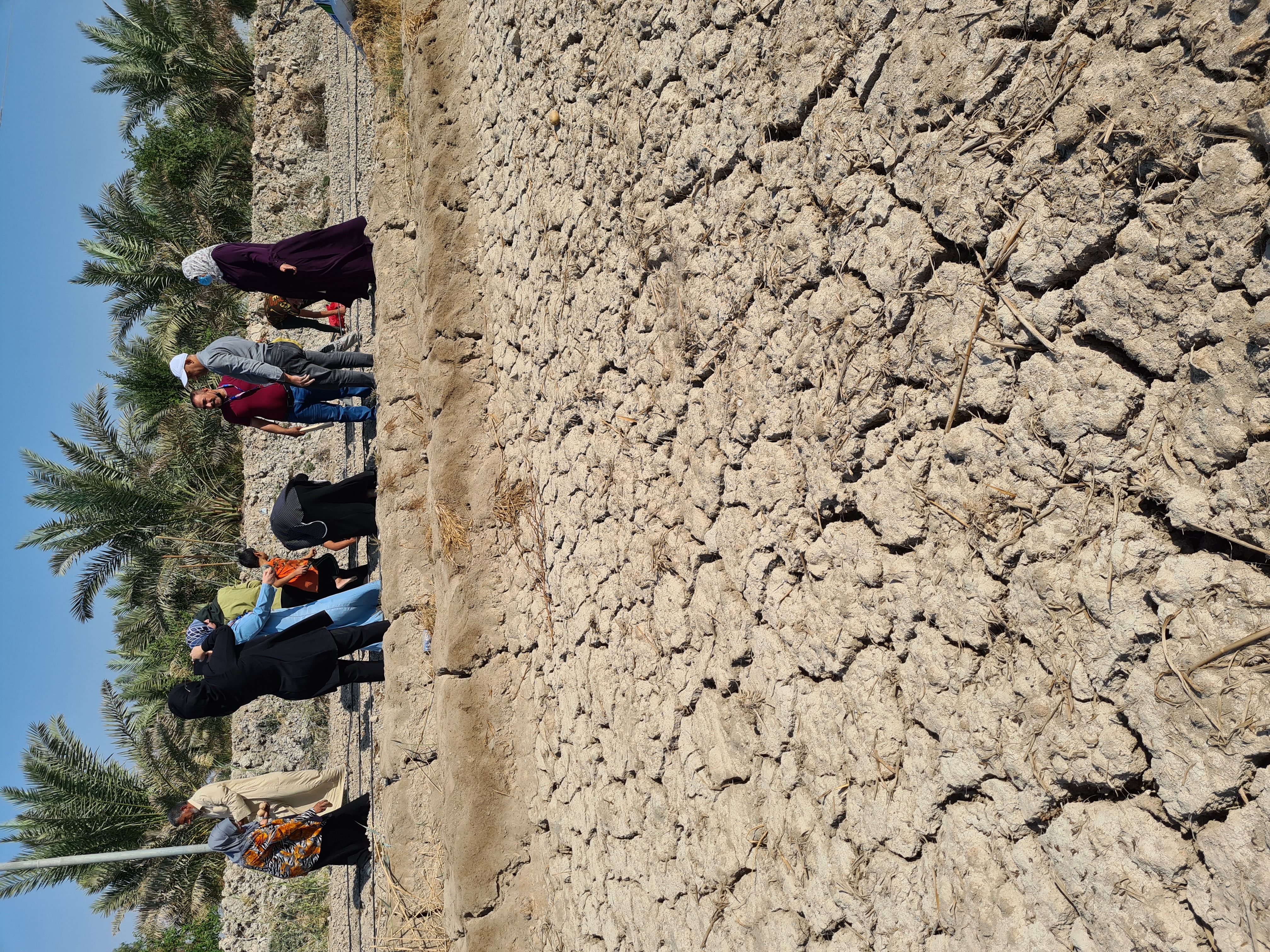 The Salt Doctors field trial in Iraq