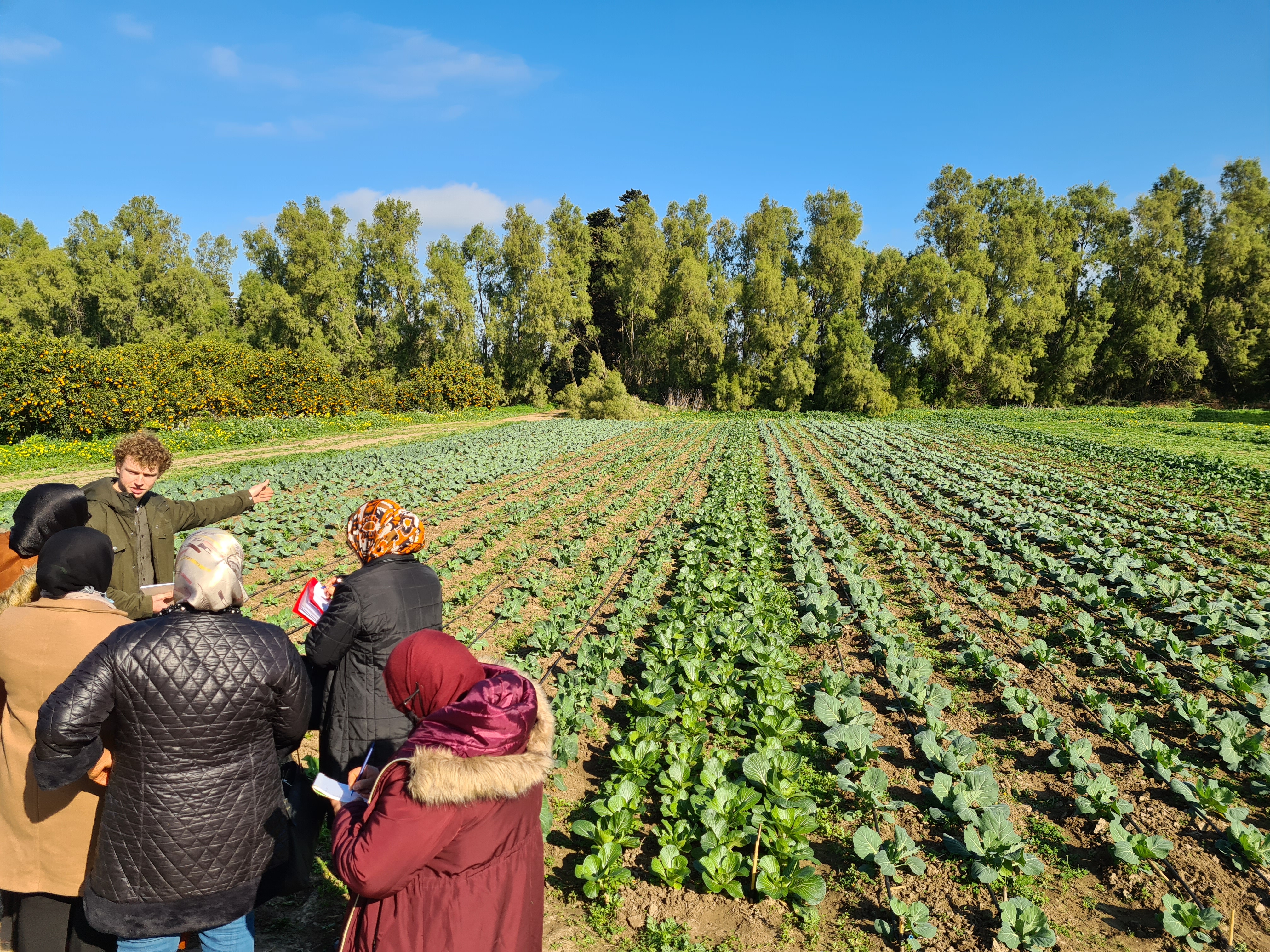The Salt Doctors field trial in Tunisia