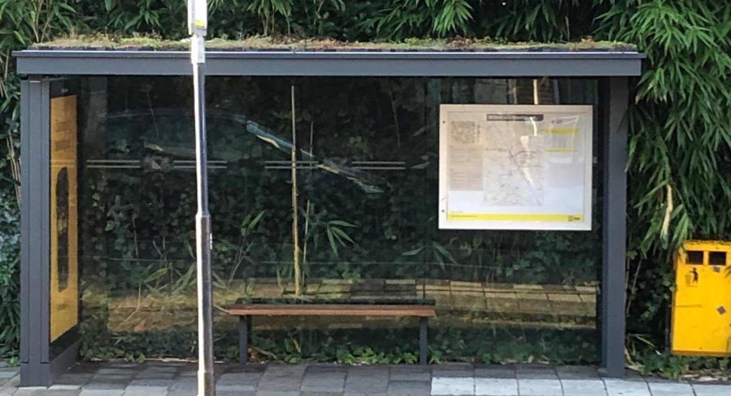 Green-roofed bus shelter in Utrecht