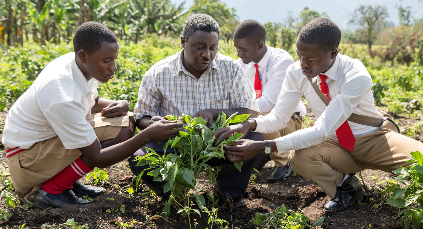 Training young farmers